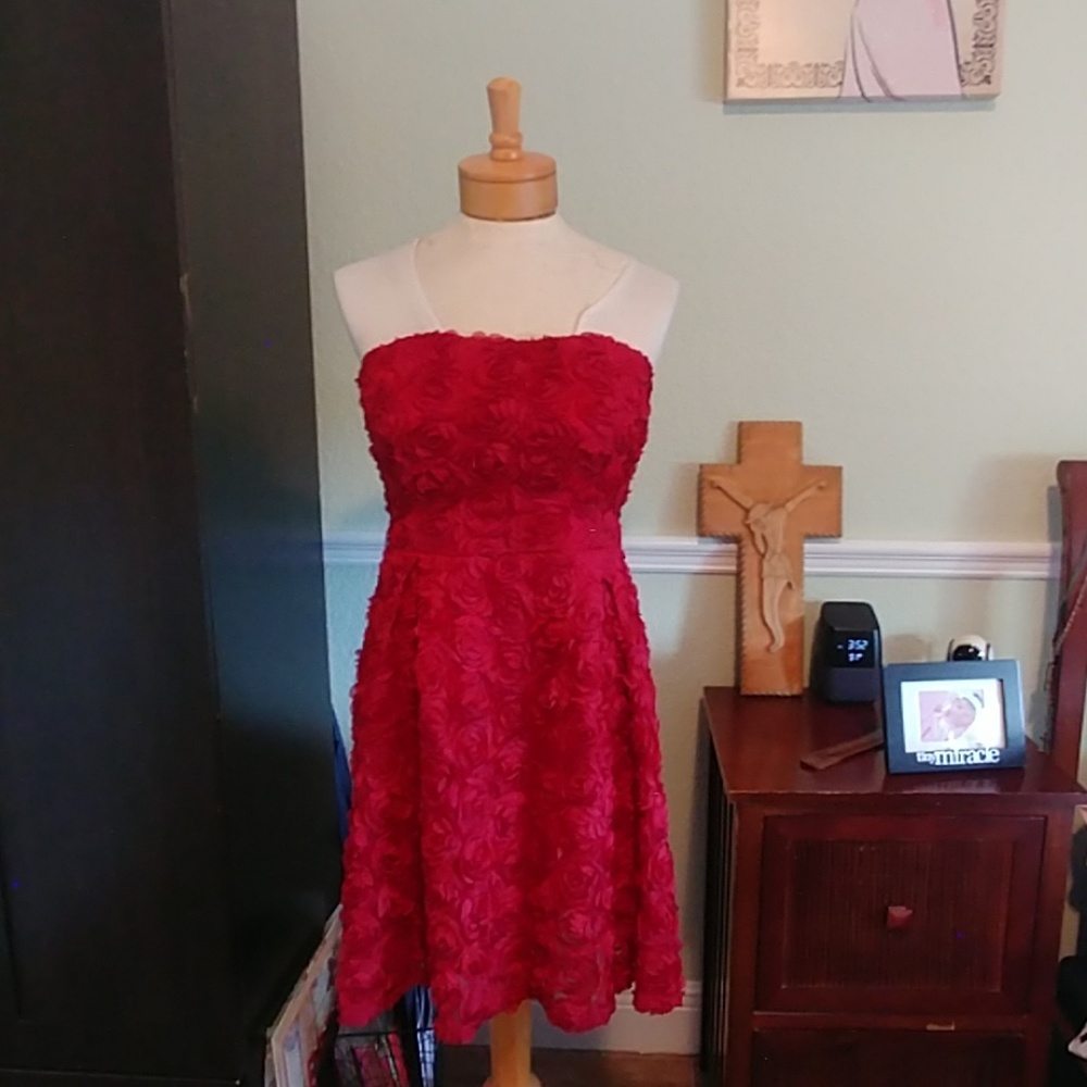 Red rose detail dress